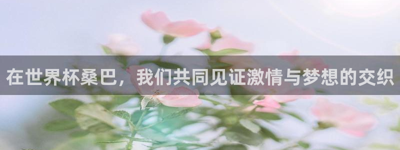 2026世界杯小组赛赛程时间表:在世界杯桑巴,我们共同见证激情与梦想的交织