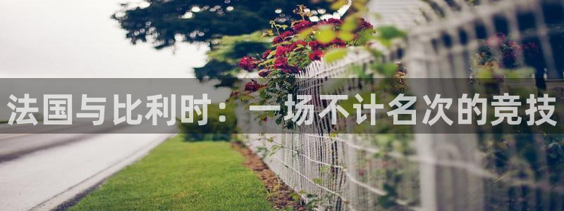世界杯亚洲区预选赛赛程:法国与比利时:一场不计名次的竞技