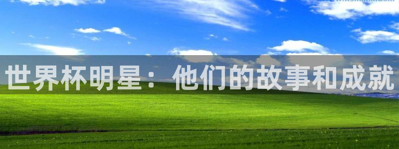世界杯今年:世界杯明星:他们的故事和成就