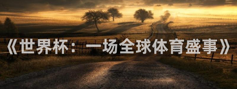 2026世界杯亚洲区预选赛赛程:《世界杯:一场全球体育盛事》