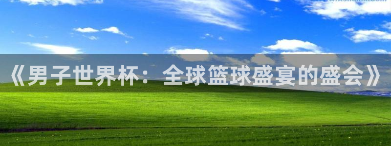 免费看足球直播比赛:《男子世界杯:全球篮球盛宴的盛会》