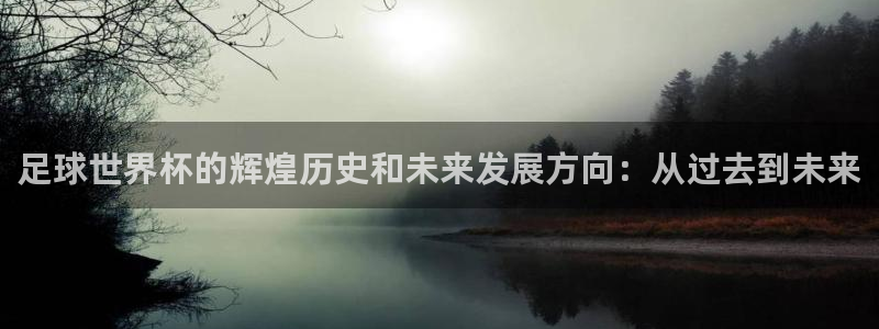 世界杯足球赛:足球世界杯的辉煌历史和未来发展方向:从过去到未来