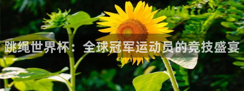 世界杯亚洲区预选赛赛程表:跳绳世界杯:全球冠军运动员的竞技盛宴