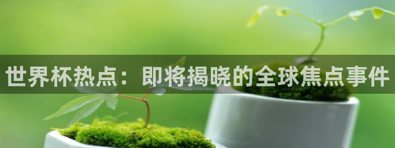 世界杯足球赛:世界杯热点:即将揭晓的全球焦点事件